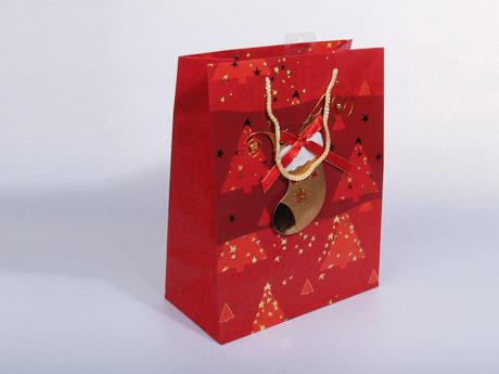 paper bag-0010